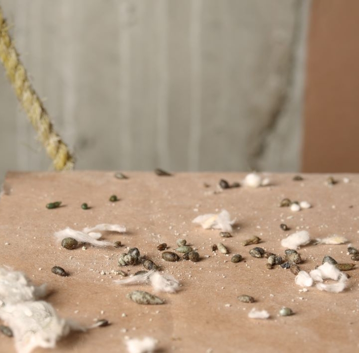 Blog - Elite Pest Control